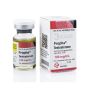 벨리가스 테스토스테론 프로피오네이트 100mg 테스트 P 바이얼 제품