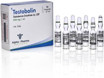 Alpha Pharma Testosterone Enanthate 250mg Testobolin - High Quality Bodybuilding Chemical