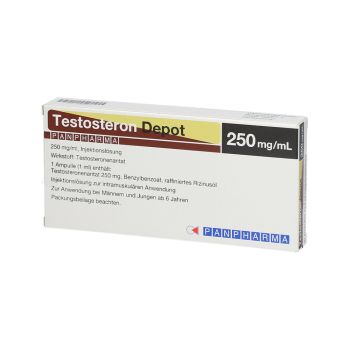 판파마 테스토스테론 에난테이트 250mg 테스토스테론 에난테이트 앰플