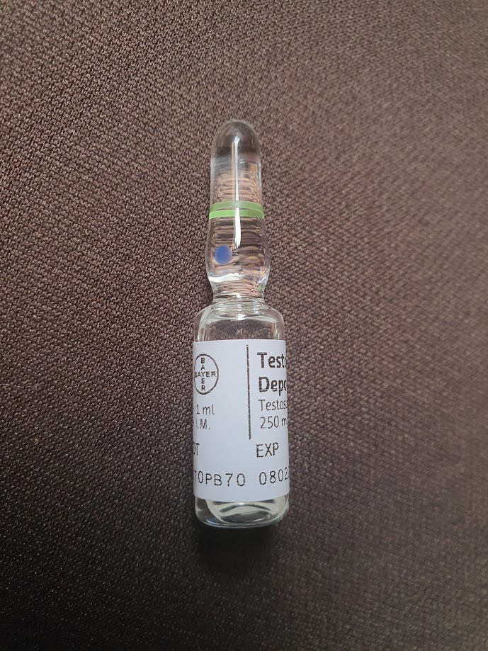 Bayer-Testosterone-Enanthate-250mg-Actual Photo